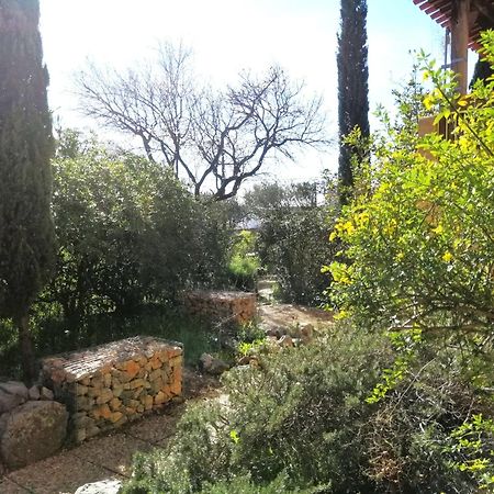 T2 36 M2, Rdc De Villa, Clim, Gd Jardin Clos, Animx Ok, Quartier Mt Faron Tres Calme, Wifi, Parking Toulon Ngoại thất bức ảnh