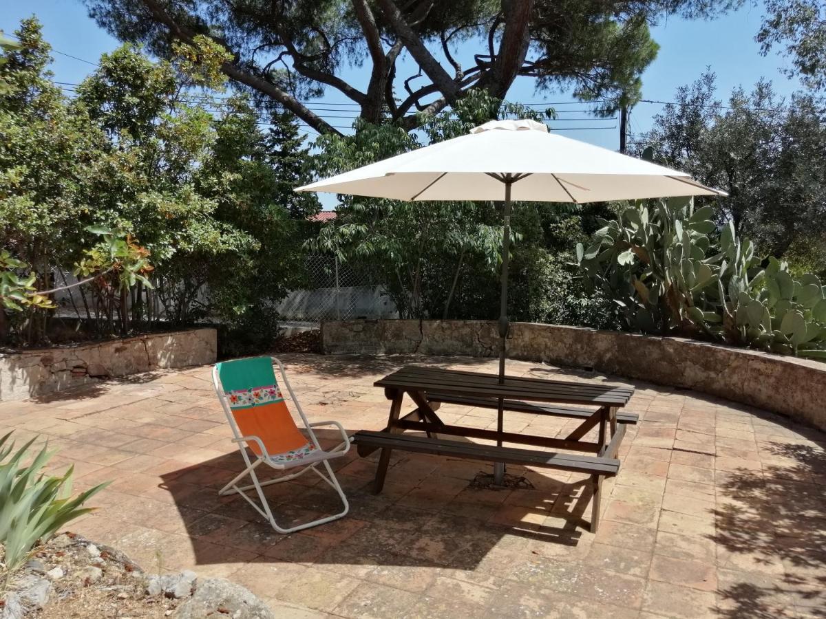 T2 36 M2, Rdc De Villa, Clim, Gd Jardin Clos, Animx Ok, Quartier Mt Faron Tres Calme, Wifi, Parking Toulon Ngoại thất bức ảnh